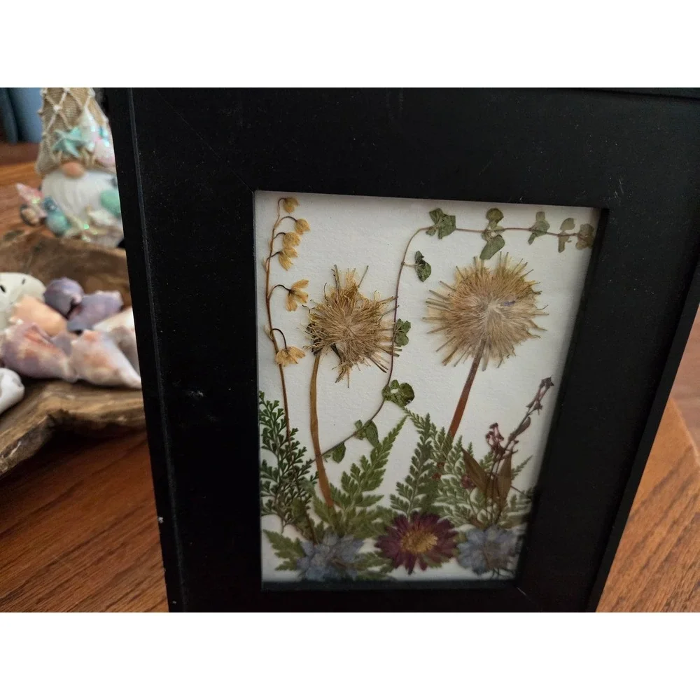Pressed Flower Art 5x7 Black Wood Frame Dandelions Ferns Wildflowers Botanical